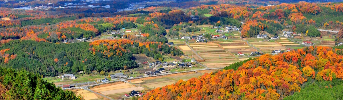 峰田自治振興区