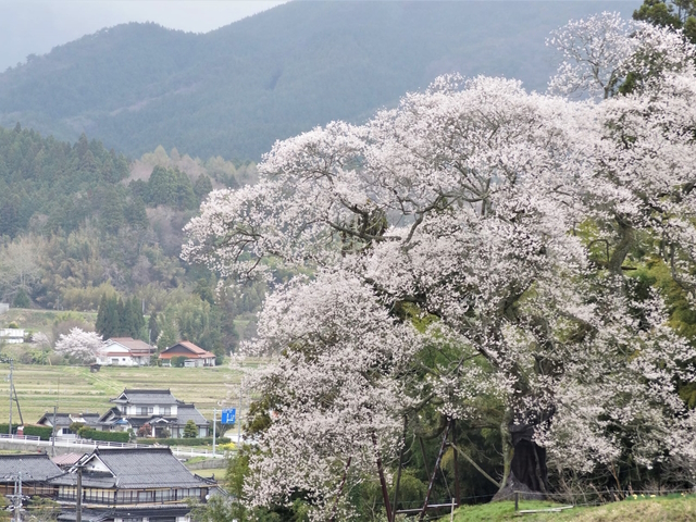 小奴可の里自治振興区