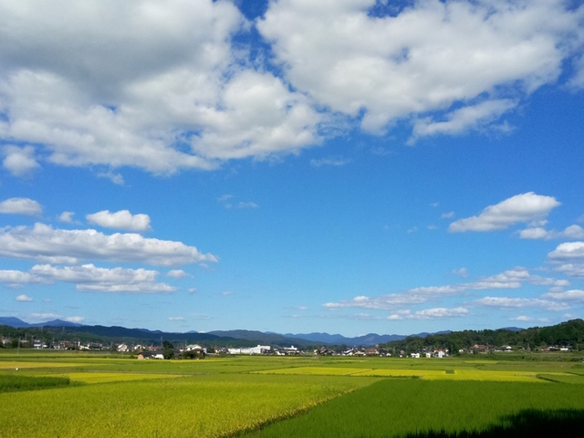 山内自治振興区